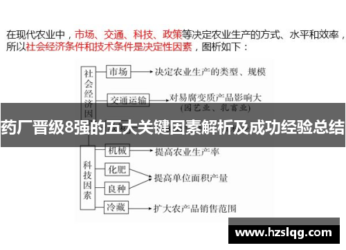 药厂晋级8强的五大关键因素解析及成功经验总结